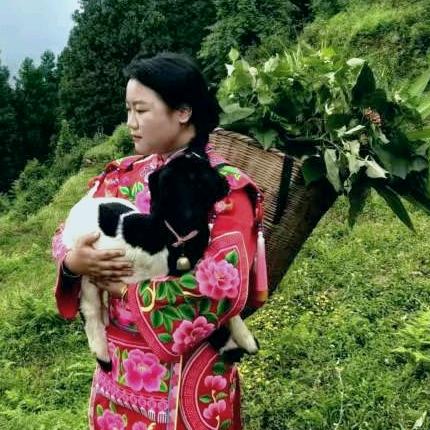 南宝山羌寨@萨朗妹（家人代管）