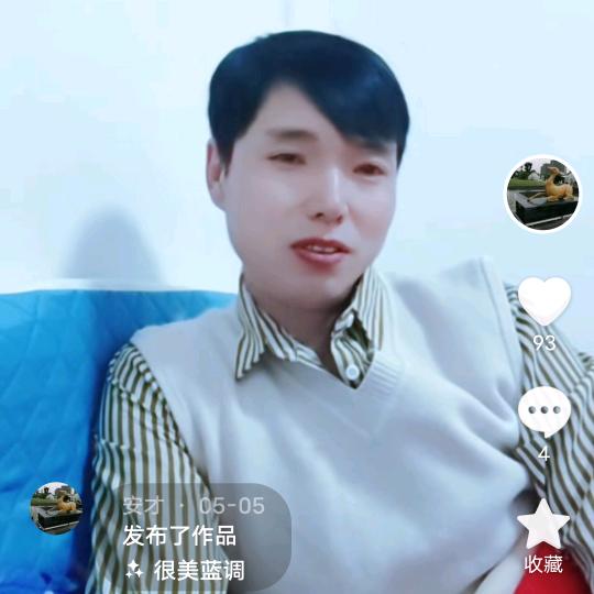 安才