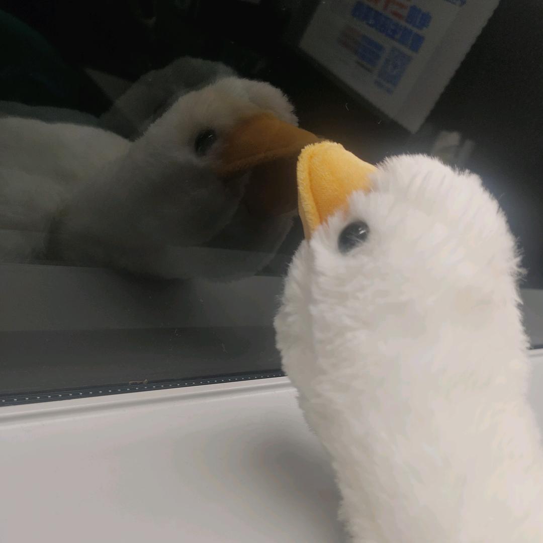 钱钱到家