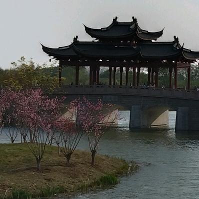 烟寒若雨