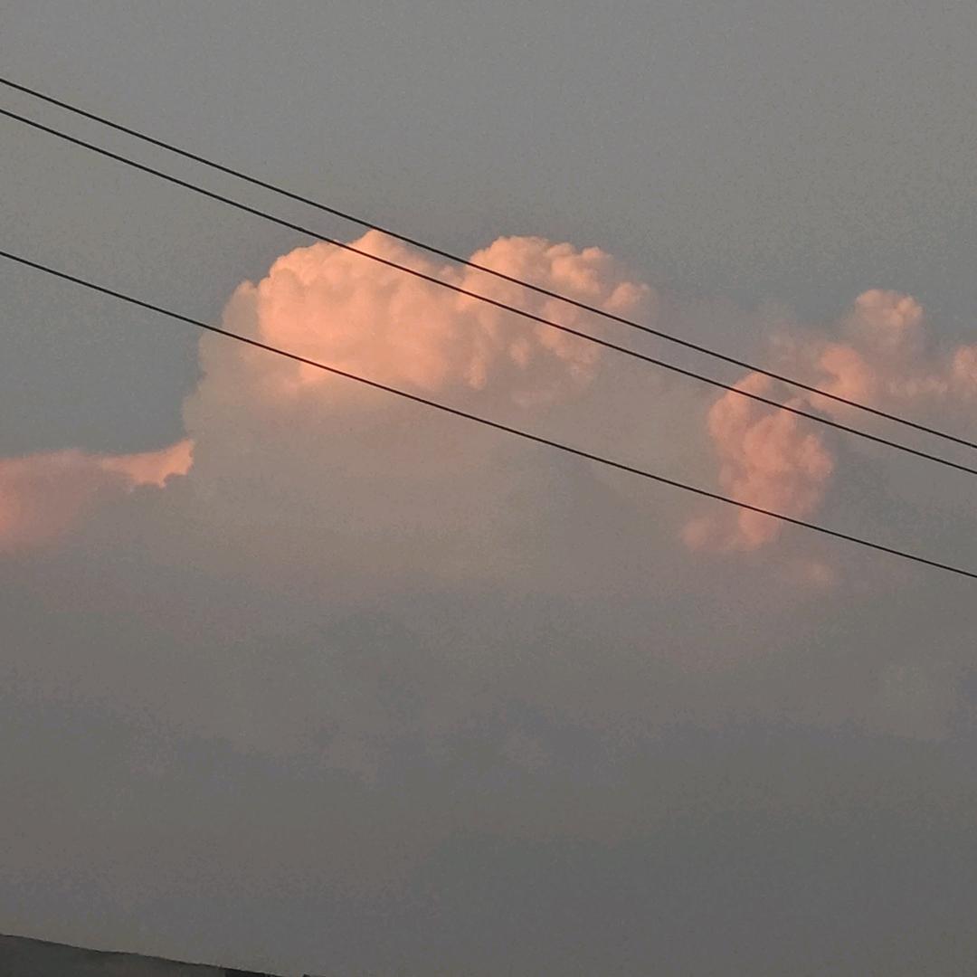 孙有道