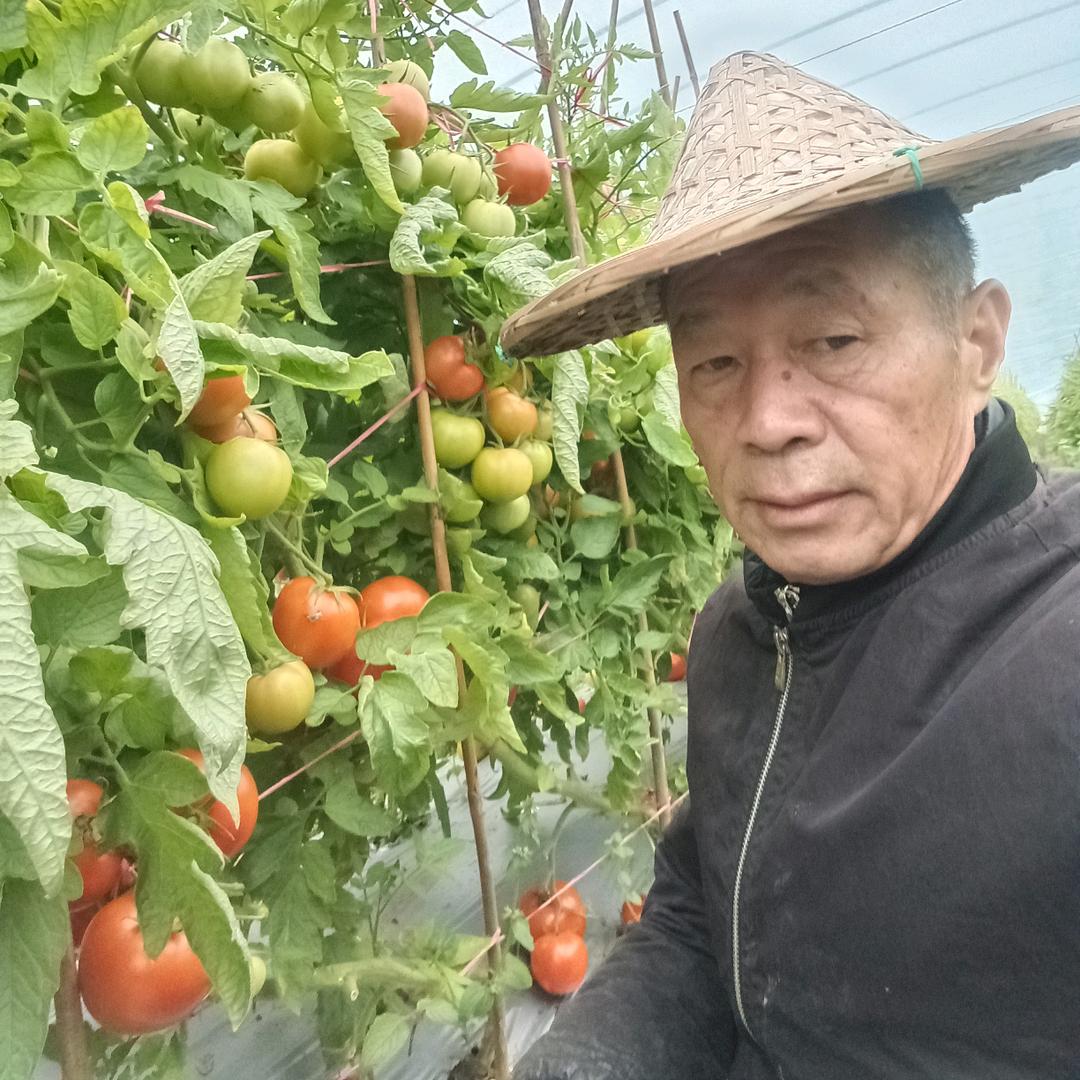 草帽哥