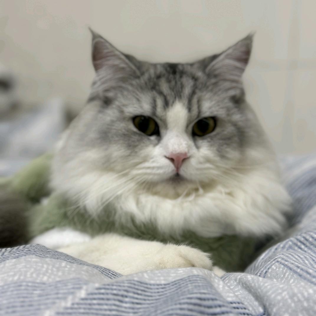 志祥雪佛兰-小李