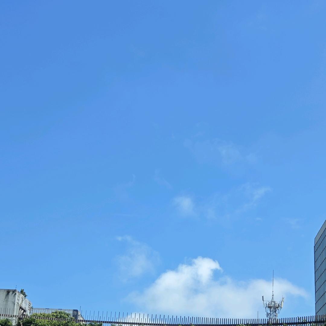 读于淼森