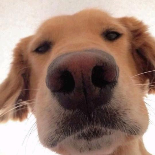 🌈思雨（三角洲行动）