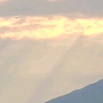 崩两屁.鸡汤.。