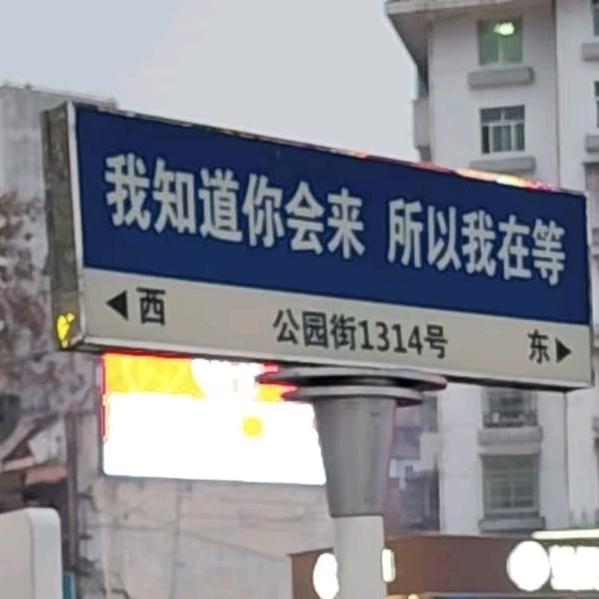 木瓜隐于平凡