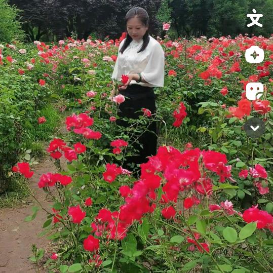 今生有你