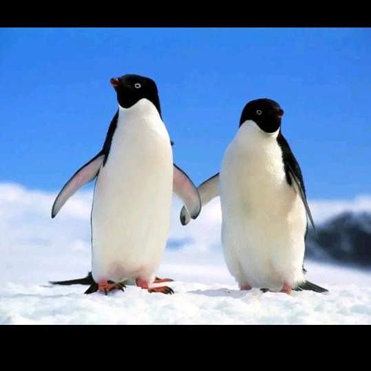 风景依旧人已老