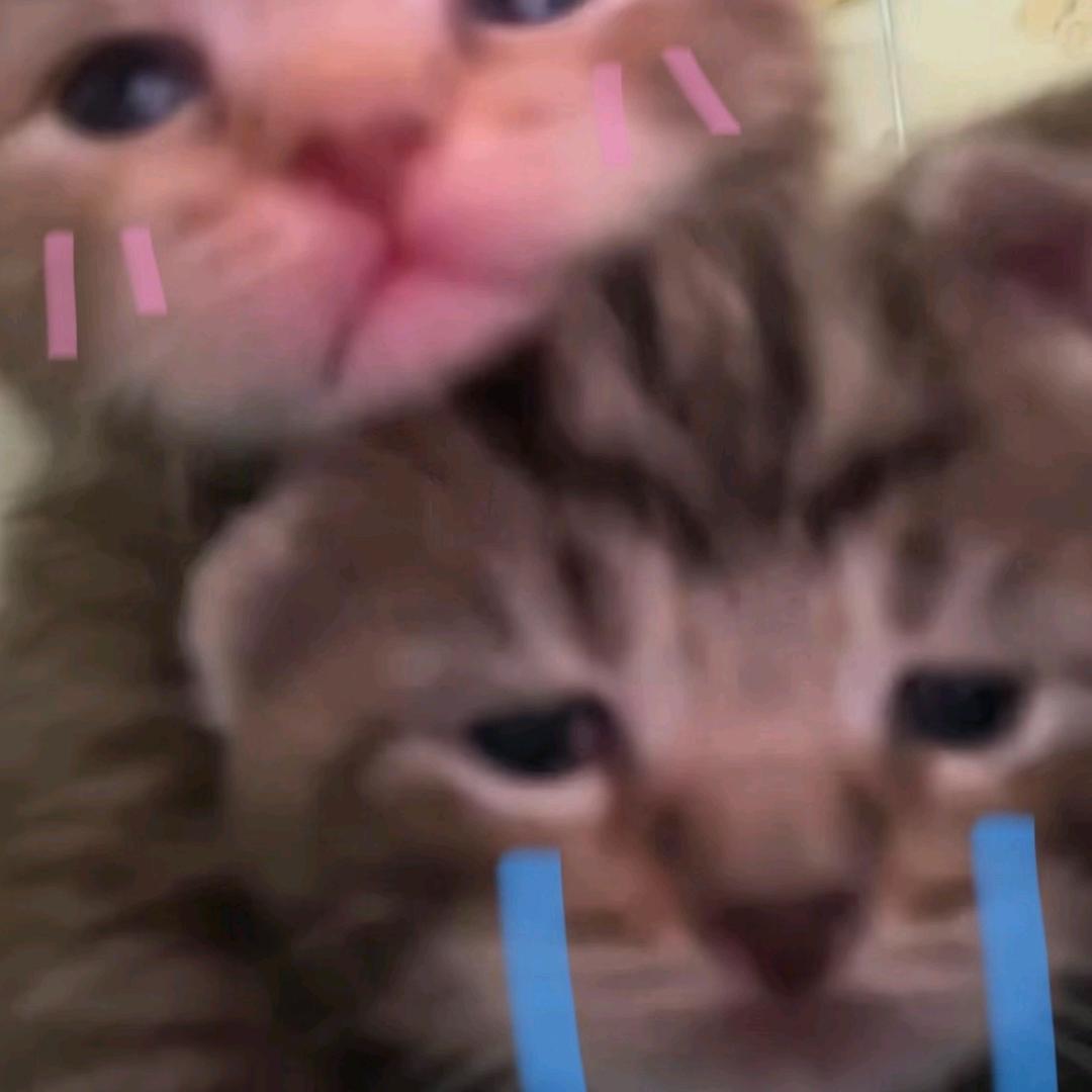 老板给我变态辣