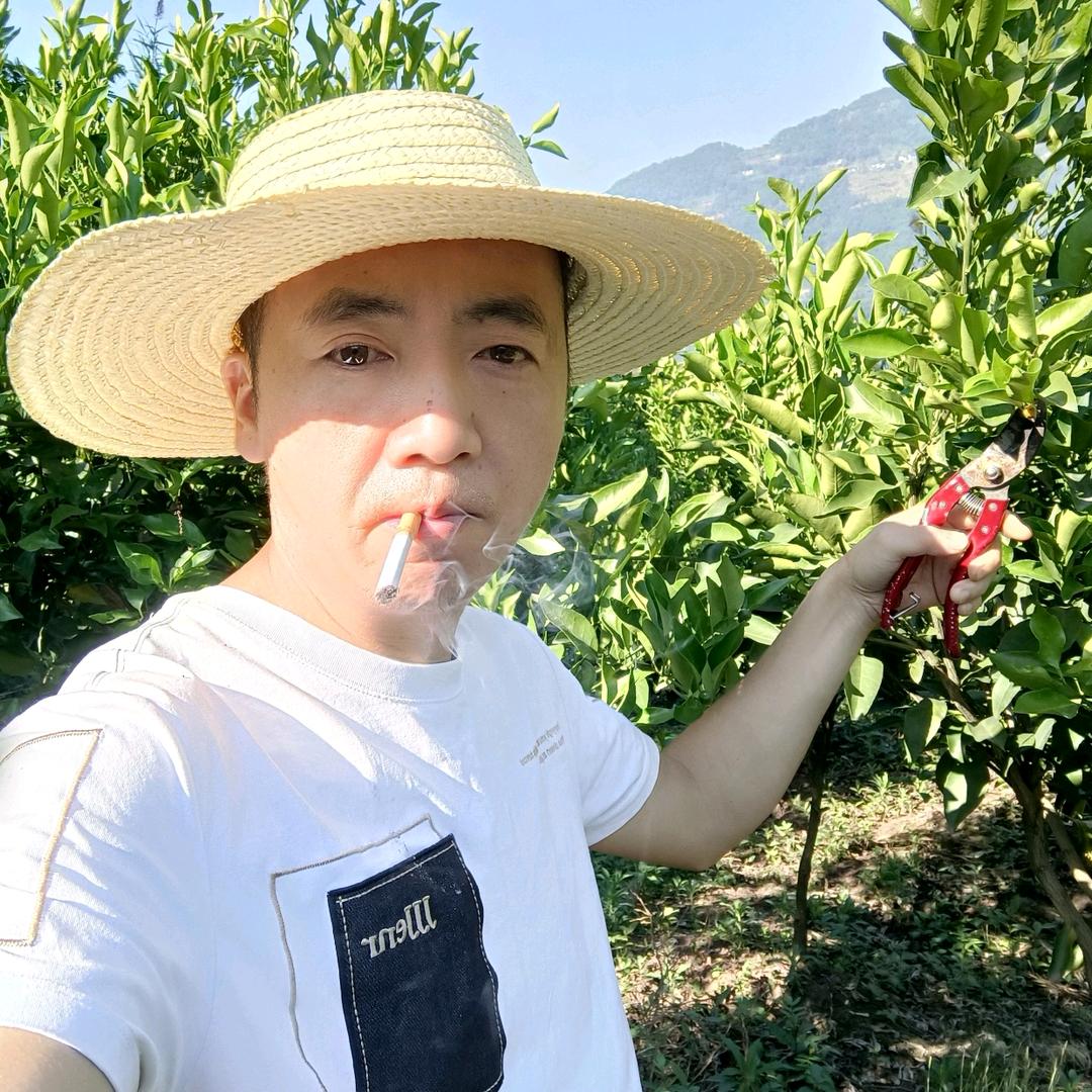 杰哥