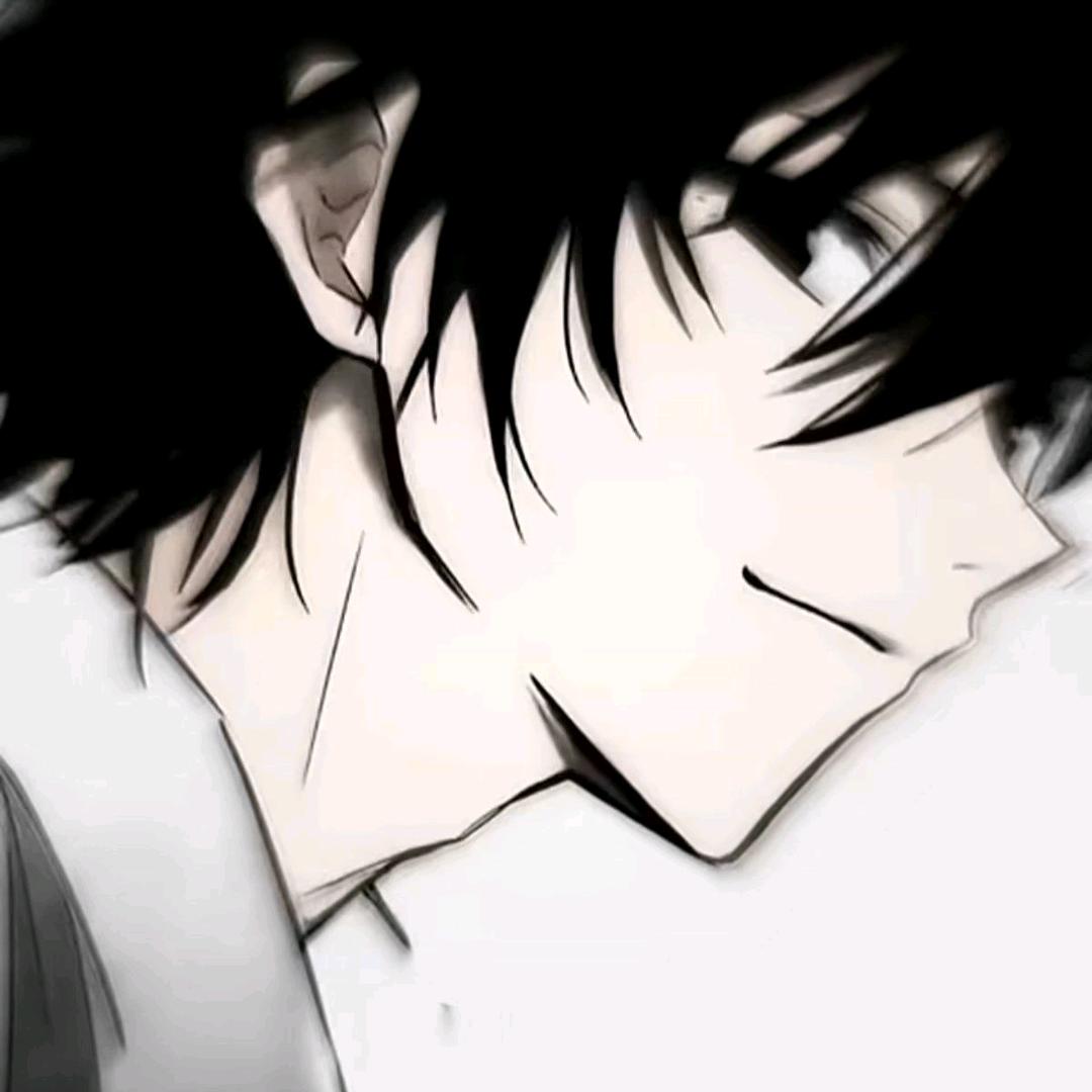 比心鲨鱼（揽星）