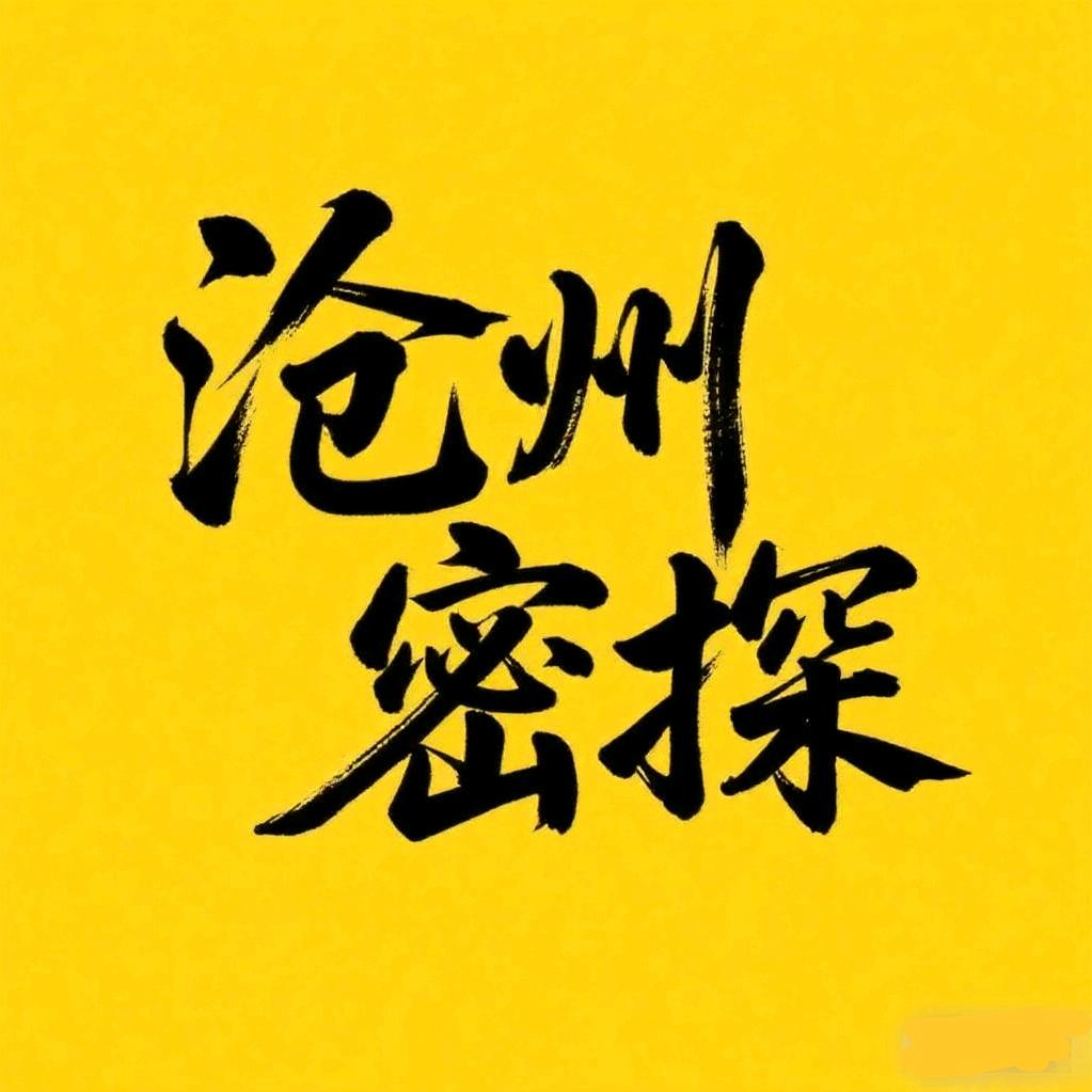 沧州密探