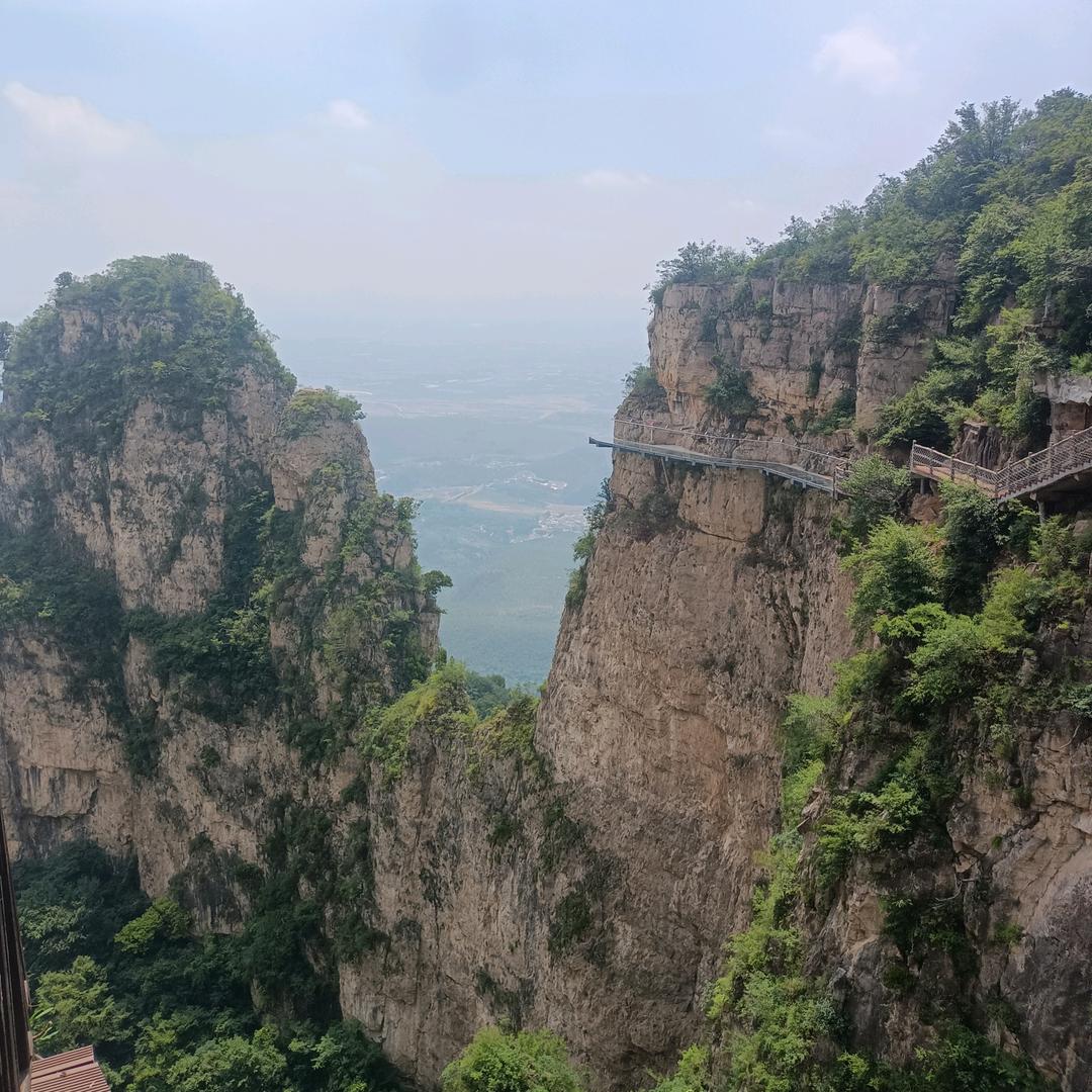自由自在的飞翔者