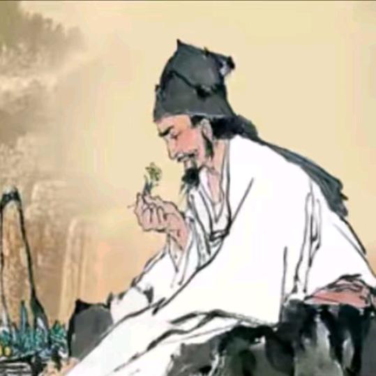 垣爱顾问娟