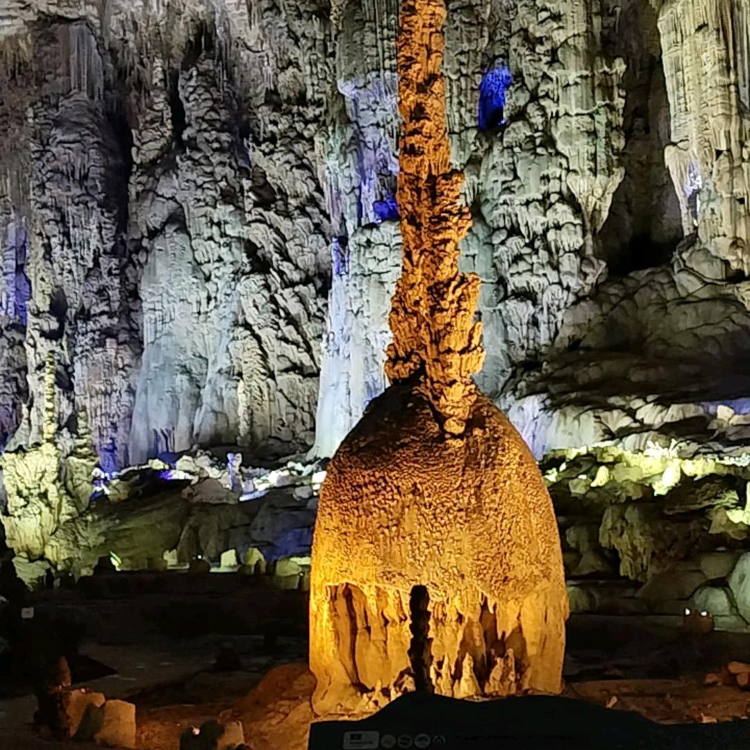 (◍•ᴗ•◍)❤静沐暖杨♥╣[-_-]╠