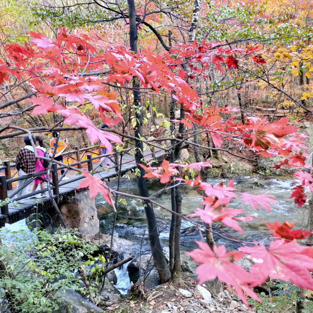 上善若水（英）