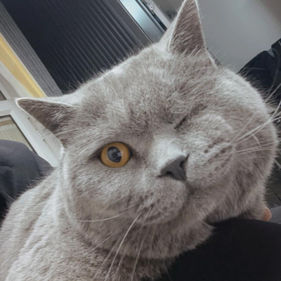 元宝～报恩之路