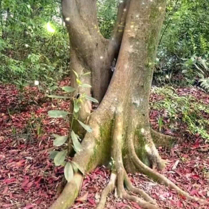 人生难得一知已