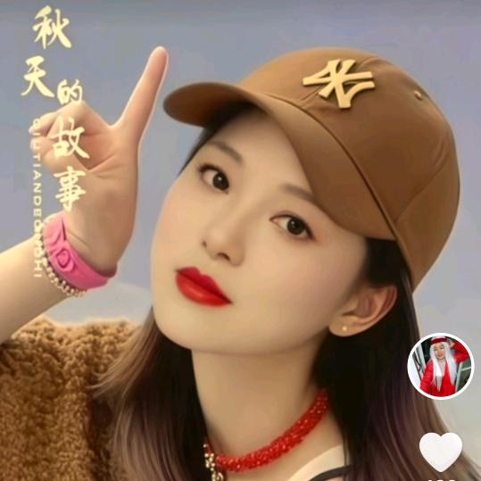 大菊🌺🌺🌺花