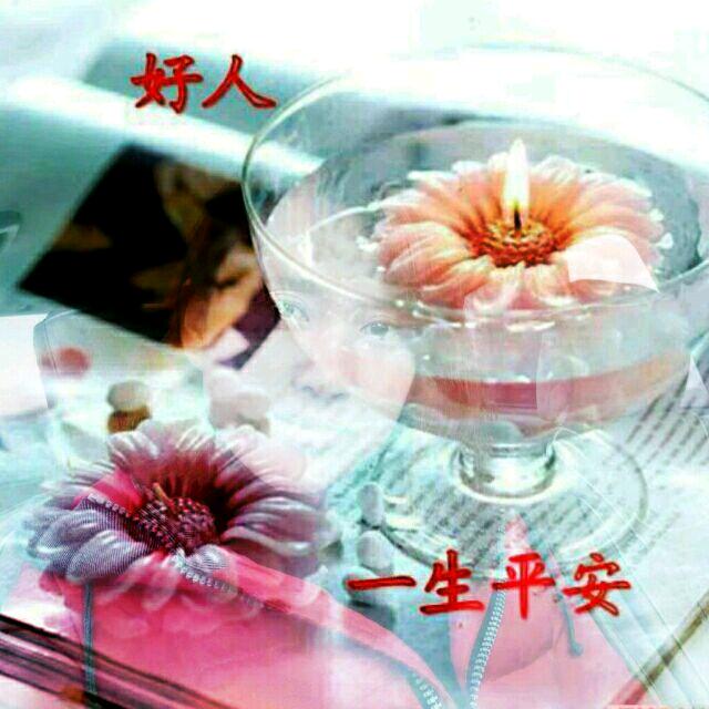小高绿茶