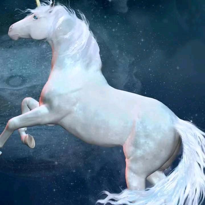 斯琴巴图
