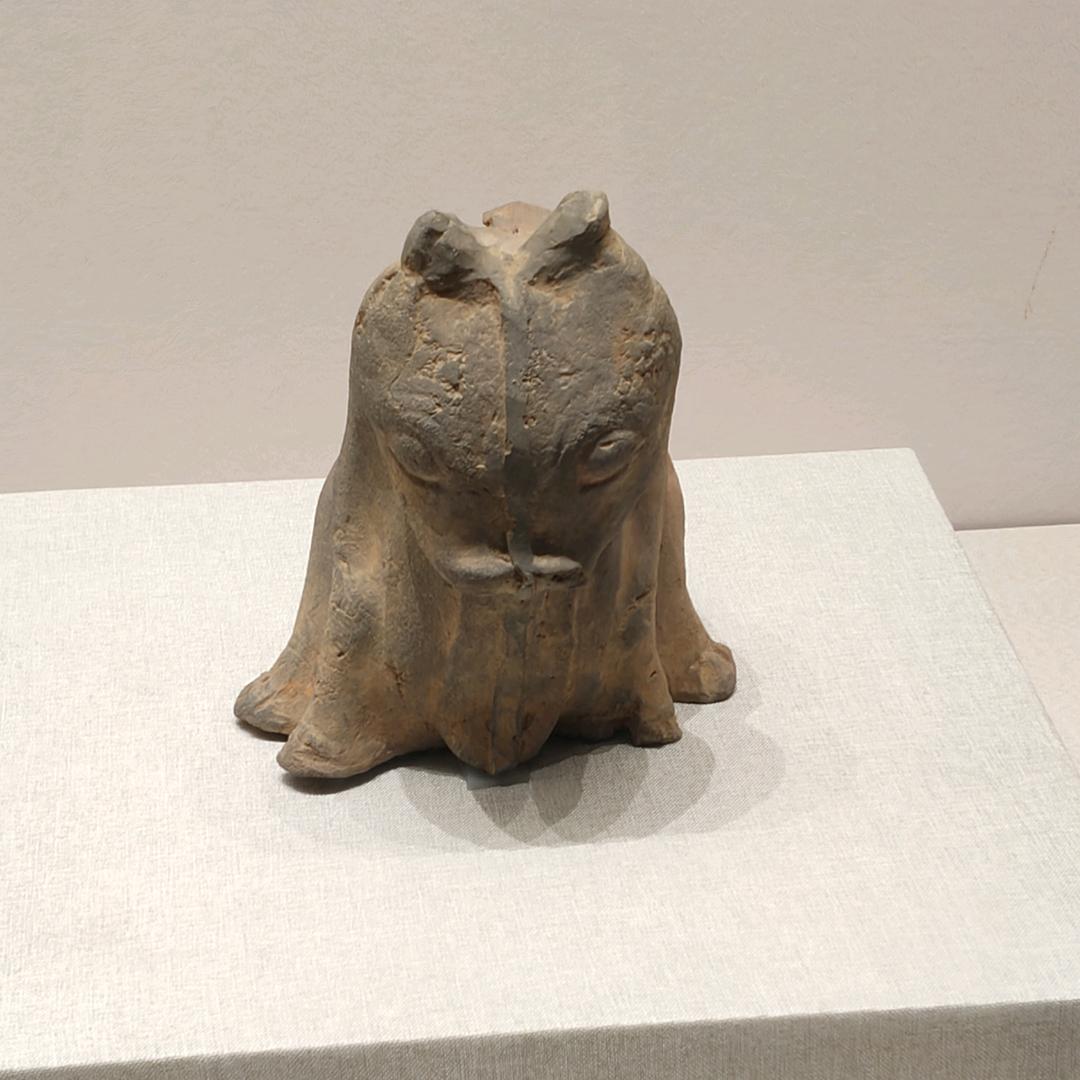 顺顺不瞬