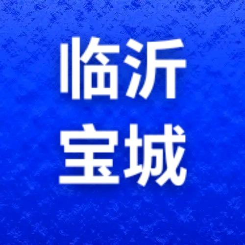 临沂宝城回收