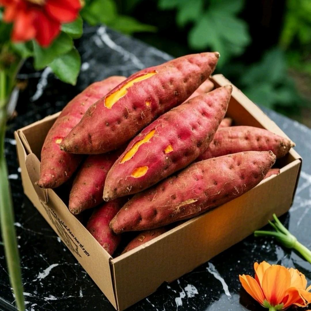 土黄金🉑🉐🀄