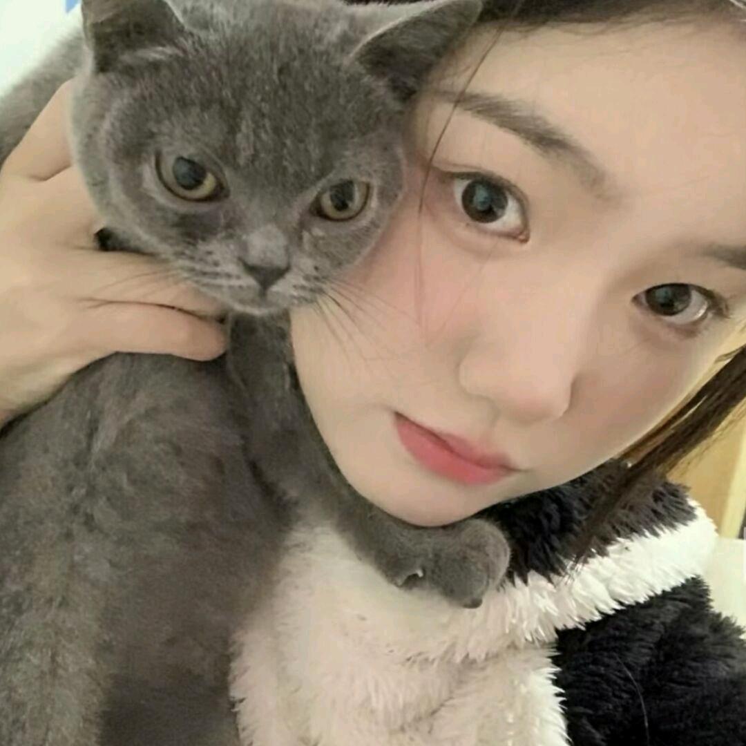 🕊.（见过莎头版）