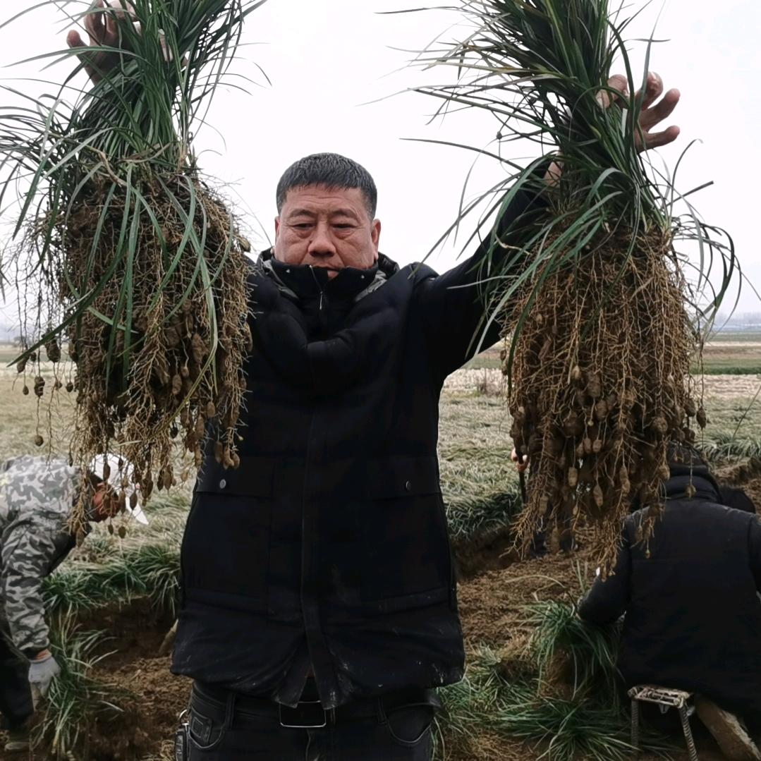 小梁说农业