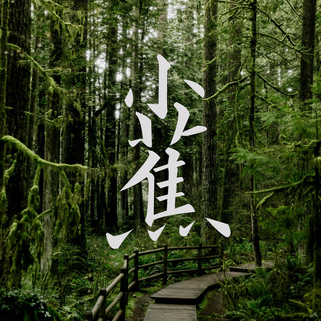 小蕉乌托邦