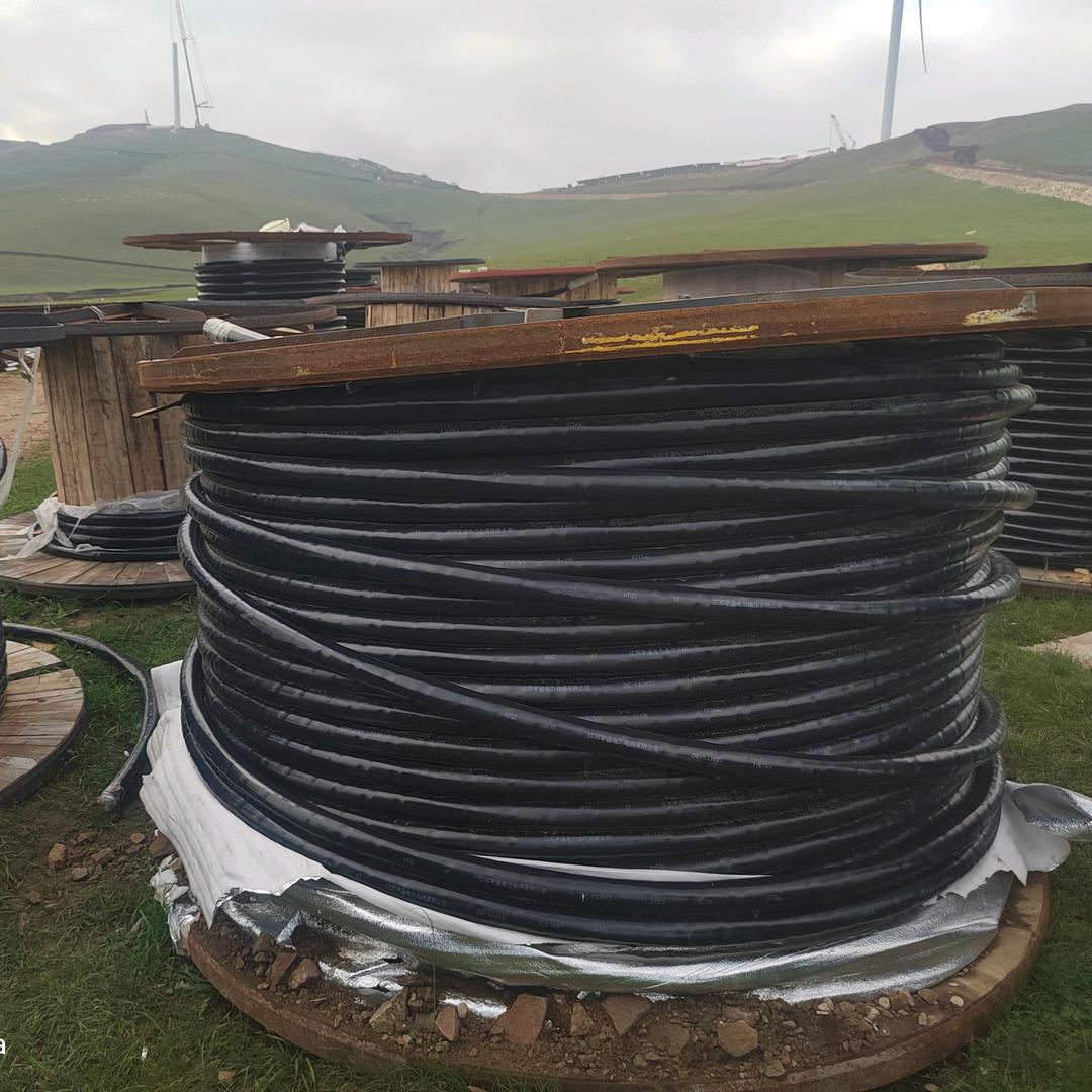 劉掌柜《电缆回收》