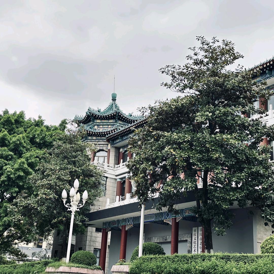 去码头整点薯条