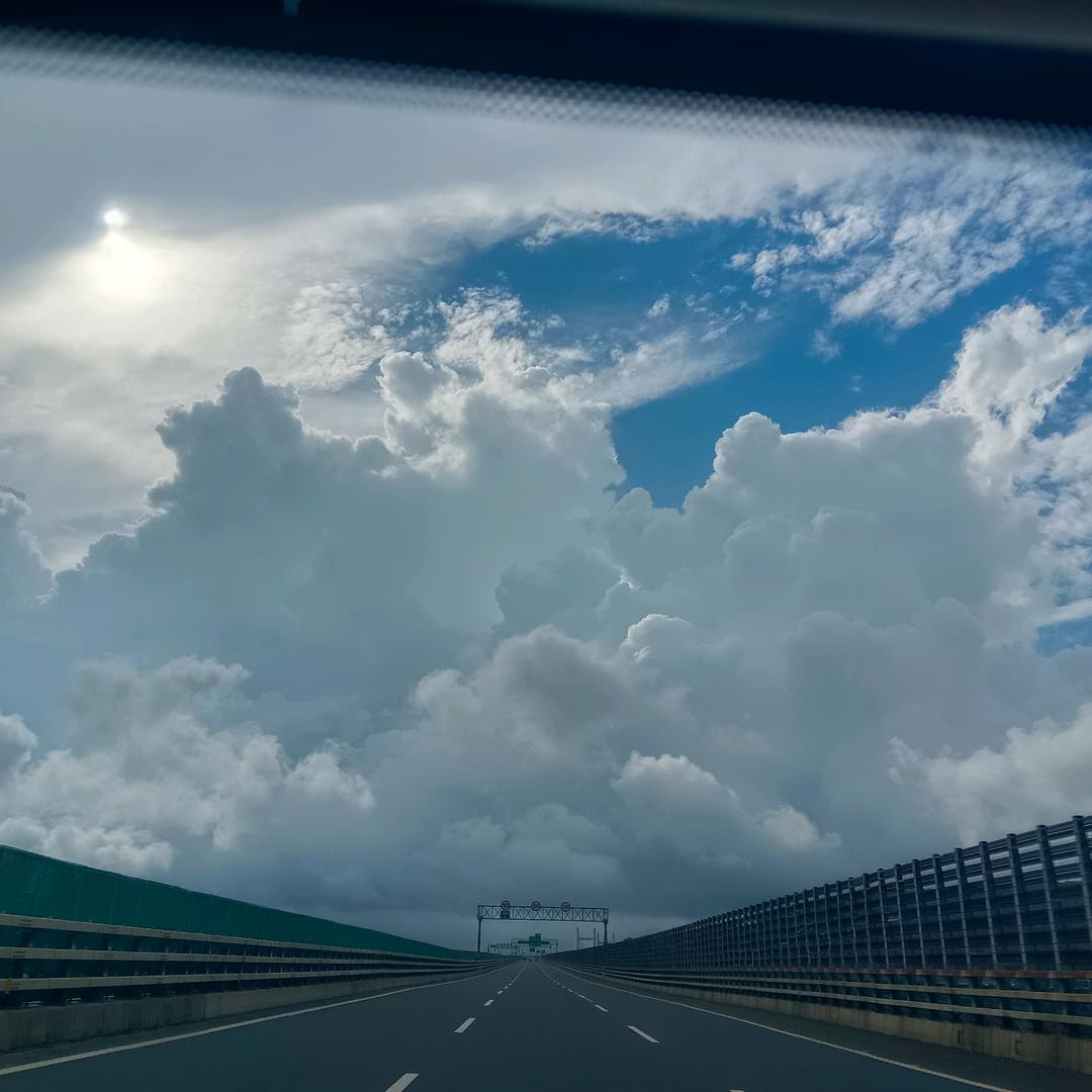 皆顺