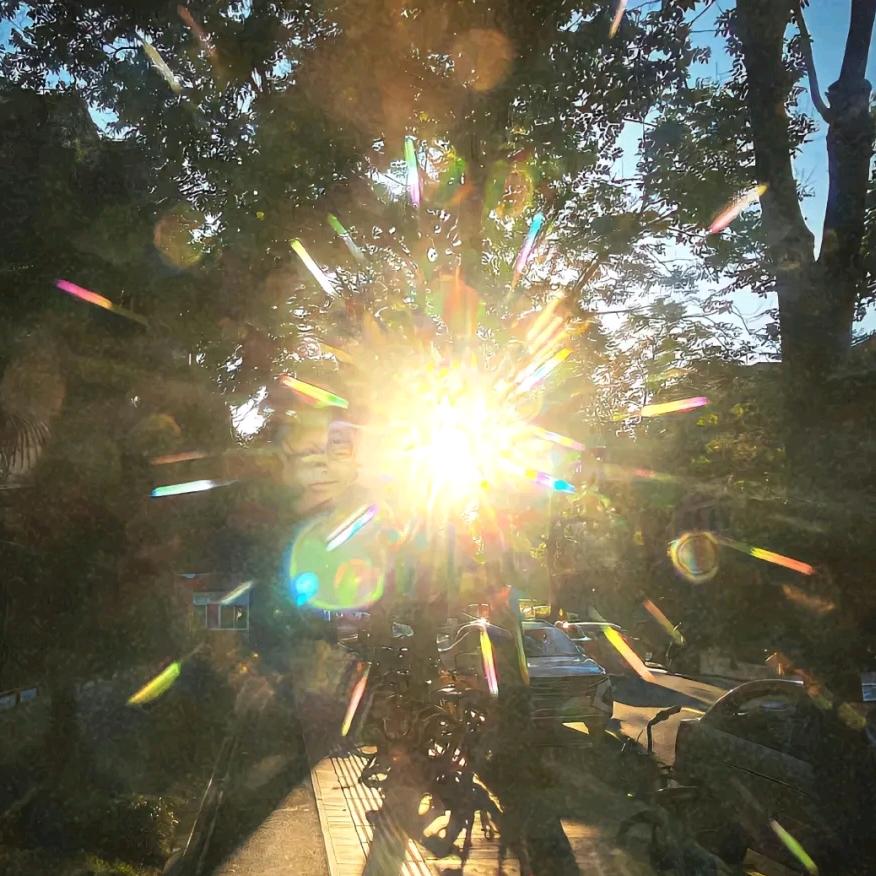 💛🌈🌈🌈🌈🌈