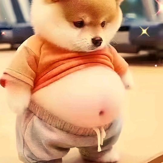 可能🤔