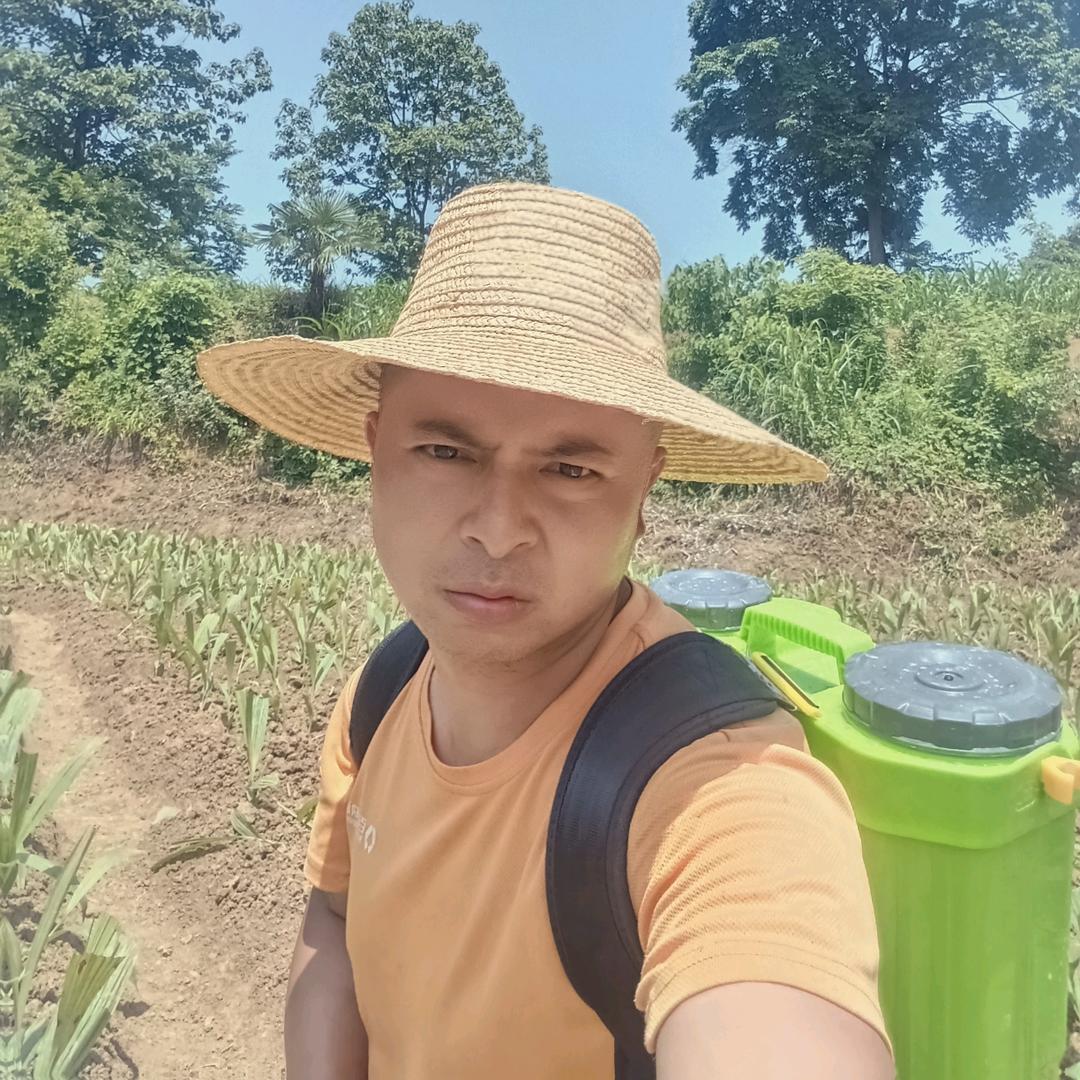 南山中药种植