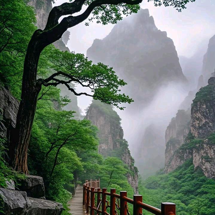 得之坦然，失之淡然