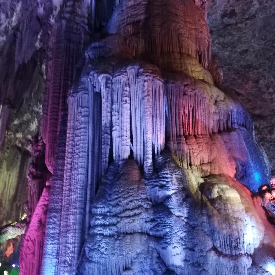 张同学🌸🌸🌸