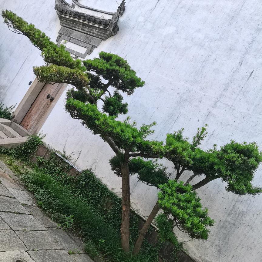 等待