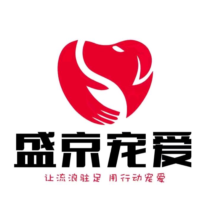 盛京宠爱
