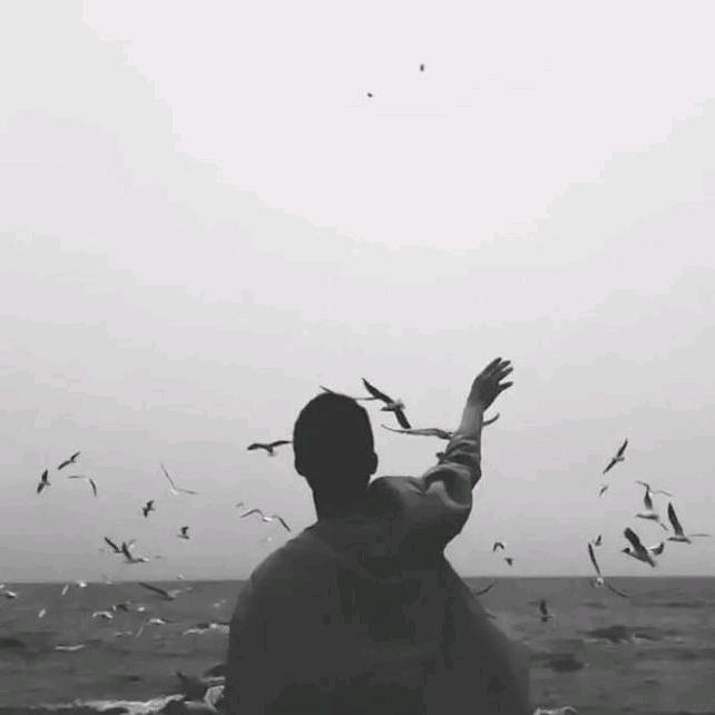 花落相思尽☋