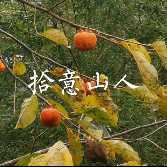 拾意山人