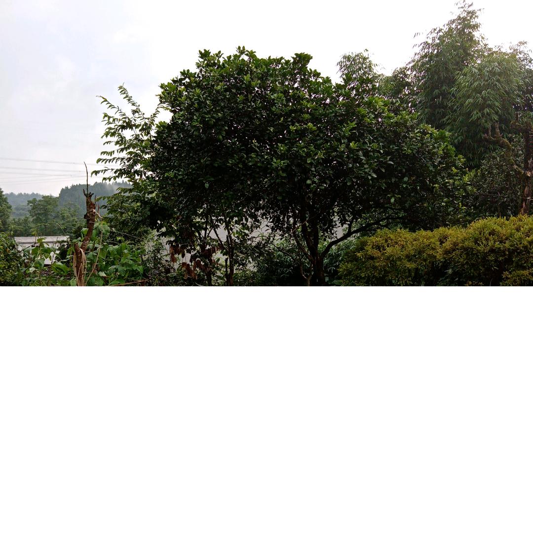 用户7002354072396
