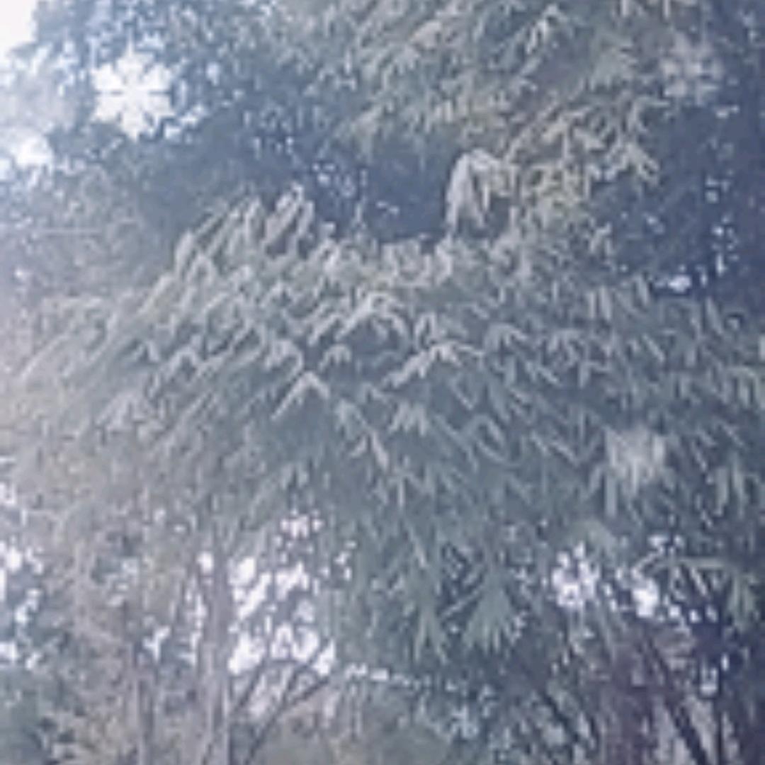 65293317797