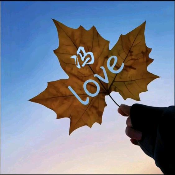 二吖久久鸭货官方号