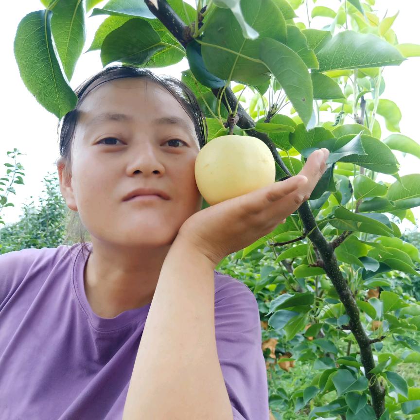 起风了（苍溪五龙伟琳农场）