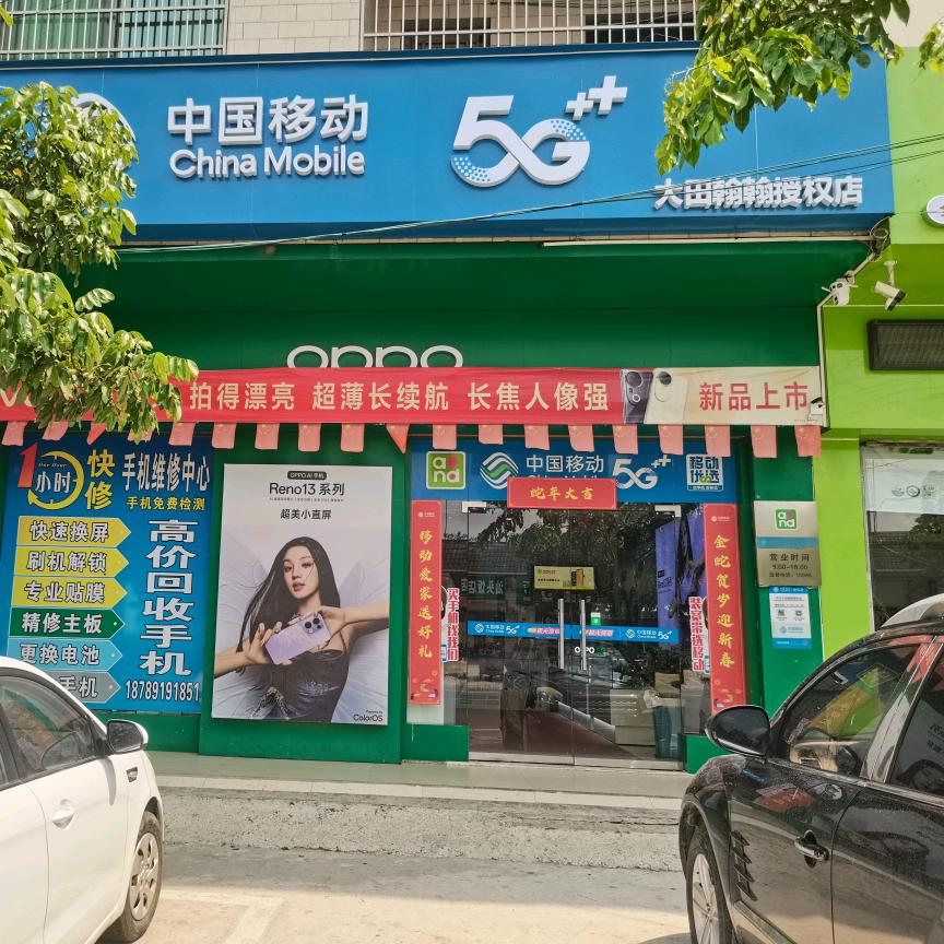 大田秃顶哥手机店