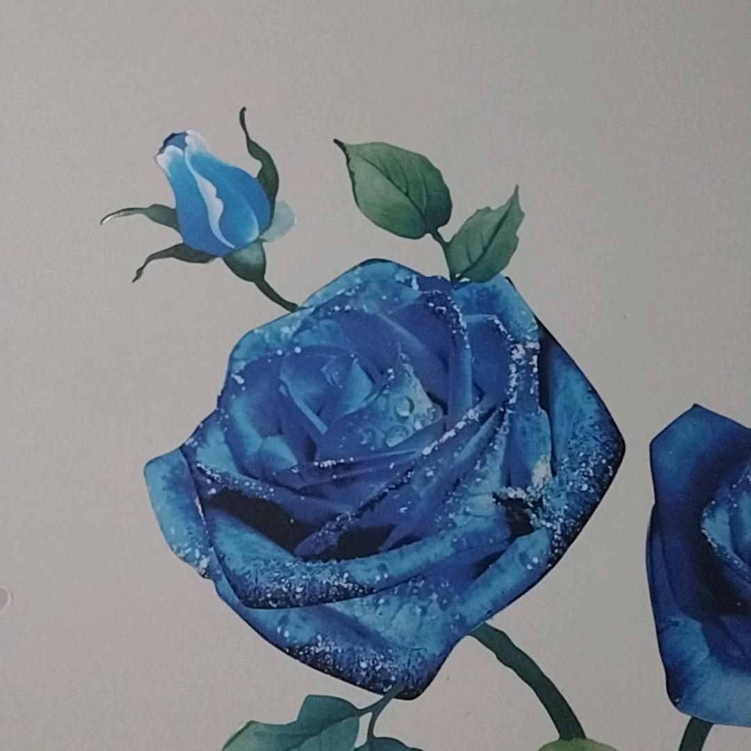 合家欢乐(想找个伴)